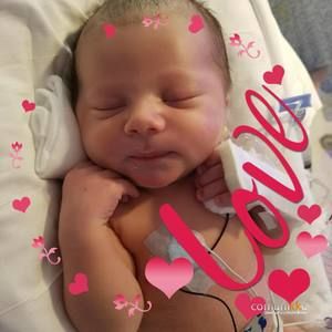 Meet your Posher, Jill hoover